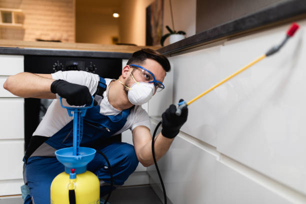 Best Affordable Pest Control Services  in Falcon Heights, MN