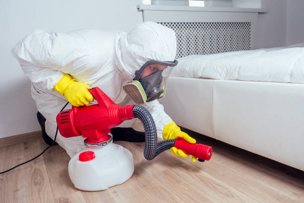 Best Local Pest Control Services  in Falcon Heights, MN