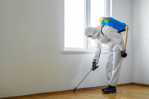 Best Rat Extermination Near Me  in Falcon Heights, MN