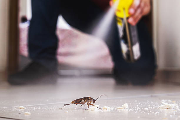 Best Local Pest Control Services  in Falcon Heights, MN