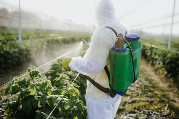 Best Pest Prevention Services  in Falcon Heights, MN